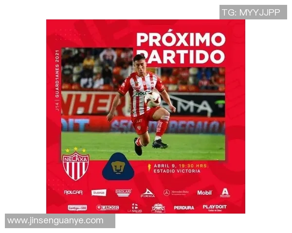 美洲狮与内卡萨对决分析谁将成为胜者的关键因素探讨