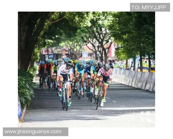 2018年5月卡马亚对阵哈马比精彩回顾与赛后分析