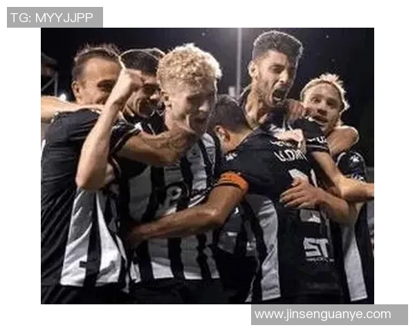 纽卡斯尔喷气机对阵麦克阿瑟精彩直播全程回顾与赛后分析